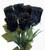5 BLACK ROSE Rosa Bush Shrub Perennial Flower SeedsComb S H
