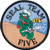 U.S. Navy Seal Team 5 Novelty Patch
