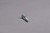 TRV Handle Bolt Long N S  21631302