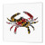 3dRose ht_193242_1 Maryland Crab Flag-Iron on Heat Transfer Paper for White Material, 8 by 8-Inch