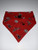 Texas Tech Red Raiders on Red Dog Bandana -Medium-