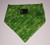 St Patrick_s Day Phrases Dog Bandana -Medium-