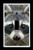 Single Toggle -1-toggle- Light Switch Plate Cover - Raccoons - Raccoon Face
