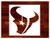 Texans ~ Stencil ~ Multiple Sizes ~ Custom Stencil