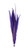 Zucker Feather (TM) - Pheasant Tails Assorted Bleached - Regal