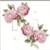 Double Toggle -2-toggle- Light Switch Plate Cover - Light Pink Roses - Flowers Plants