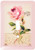 3dRose lsp_60637_1 French Vintage Rose N Lace Single Toggle Switch