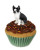 Conversation Concepts Boston Terrier Pupcake Trinket Box