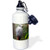 3dRose wb_83645_1 Bearded Dragon, Pogona Vitticeps, Lizard, Reptile-Na02 Aje0365-Adam Jones Sports Water Bottle, 21 oz, White