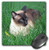 3dRose LLC 8 x 8 x 0.25 Inches Mouse Pad, Siamese Cat (mp_4496_1)