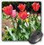 3dRose LLC 8 x 8 x 0.25 Inches Mouse Pad, Colorful Tulips (mp_33085_1)