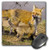 3dRose LLC 8 x 8 x 0.25 Inches Colorado Breckenridge Red Foxes Jaynes Gallery Mouse Pad (mp_88817_1)