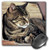 3dRose LLC 8 x 8 x 0.25 Inches Mouse Pad, Utah Capitol Reef Np Sleeping Tabby Cat Ric Ergenbright (mp_94870_1)