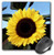 3dRose LLC 8 x 8 x 0.25 Inches Mouse Pad, Sunflower (mp_3320_1)