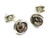 Turritella Agate  and  Sterling Silver Post Earrings