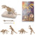 BUDDY N BUDDIES Dinosaur Fossil Excavation Kits  Children_s Popular Science Education Toys-Tyrannosaurus-