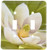 3dRose lsp_83298_2 Magnolia Tree Flower Blossom - Na01 Aje0189 - Adam Jones - Double Toggle Switch