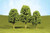 Bachmann Trains - SCENE SCAPES - 2inch - 3inch  DECIDUOUS TREES -4 per box- - N Scale