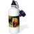 3dRose wb_120382_1 "Elephant Spray, African Elephant spraying water from trunk" Sports Water Bottle, 21 oz, White