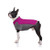 Pet Clothes  Dog Winter Coat Warm Vest Jacket Cold Weather Costume for Puppy Small Medium Dog -S  Purple-