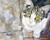 Gray Tabby Kitten Art Print - Gray Tabby Kitten Gifts - From Original Watercolor Painting by Ron Krajewski - Hand Signed in 8x10  and 11x14  Sizes