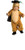 Shrek Puss _n Boots Costume