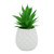 Connie N Randy Ceramic White Pineapple Faux Succulent Planter