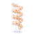Toplife Spiral Design Metal Egg Skelter Dispenser Rack  Storage Display Rack  White