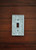Single Light Switch Cover - Switchplate Cast Iron - Fleur de Lis Design - Handpainted to Order Aqua Blue or Pick Color
