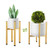 2 Pack Metal Plant Stand Indoor with Adjustable Width Fits 8 to 12 Inch Pots Mid-Century Flower Holder for Corner Display-Gold-Planter and Pot Not Included-