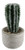 Connie N Randy Faux Cactus Succulent in Cement Planter Pot