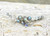 Labradorite Ear Climber Earrings  14k Gold Filled or Sterling Silver gemstone ear crawler  tiny ear climbers