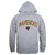 MNSU Minnesota State Mavericks NCAA Campus Pullover Hoodie - Medium  Heather Grey