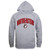 W Republic Apparel Northeastern University Huskies Campus Hoodie Sweatshirt Heather Grey XL