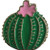C and D Visionary Barrel Cactus Metal Lapel Pin _LAP_0069_