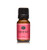 Grapefruit Fragrance Oil _ Premium Grade Scented Oil _ 10ml