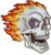 C and D Visionary Application Side Skull with Flames Patch
