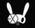 BAP and EXO Hexagon Bunny Silhouette _ Vinyl 5 inch  Tall _Color  White_ Decal Laptop Tablet Skateboard car Windows Sticke