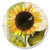 CounterArt Sunflowers in Bloom Absorbent Coasters, Set of 4
