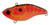 Spro Junior Aruku Shad Bait_Pack of 1_ Mudbug Red