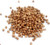 Coriander Seeds _ 7oz