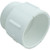 Lasco 436_025 2.5 in Slip x 2.5 in MPT Male Adapter
