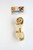 Healthy Real Orange Fruit 6_7 inch  Rawhide Dog Bone 1pk.
