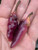 Pink Bubblegum 7 Pot BBG Scorpion Super Hot Pepper Premium Seed Packet