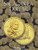 Harris Coin Folder _ Sacagawea Dollars Folder 2000_2004  8HRS2715 by H.E. Harris
