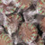 Chocolate Starlight Mints Hard Candy 1LB Bag