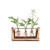 Ivolador Desktop Glass Planter Bulb Vase with Retro Solid Wooden Stand and Metal Swivel Holder for Hydroponics Plants Home Garden Wedding Decor (3 Bulb Vase)