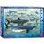 EuroGraphics Sharks 1000 Piece Puzzle