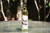 1 BOTTLE _ HOYT'S COLOGNE 2 FL OZ ORIGINAL BOTTLE