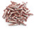 Smarties Candy Rolls_ Bulk Pack _Pack of 2 Pounds_